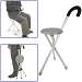 Walking Seat and Cane in One