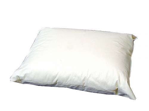 Disposable Personal Pillow