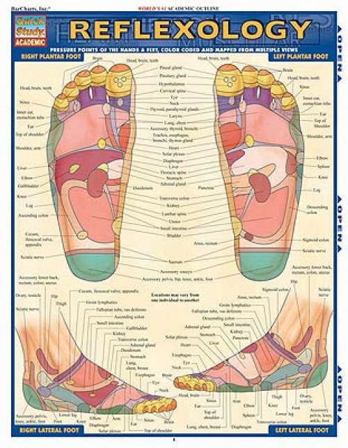 Quick Study Guides: Reflexology