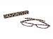 Leopard Reading Glasses