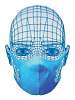 Comfortex Masks