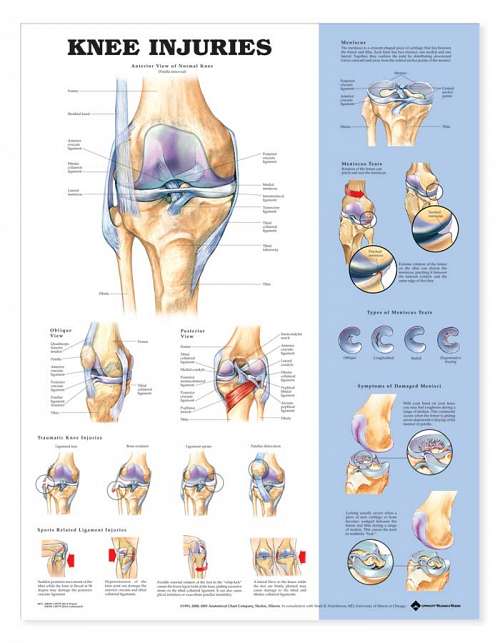 Knee Injuries