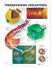 Understanding Cholesterol