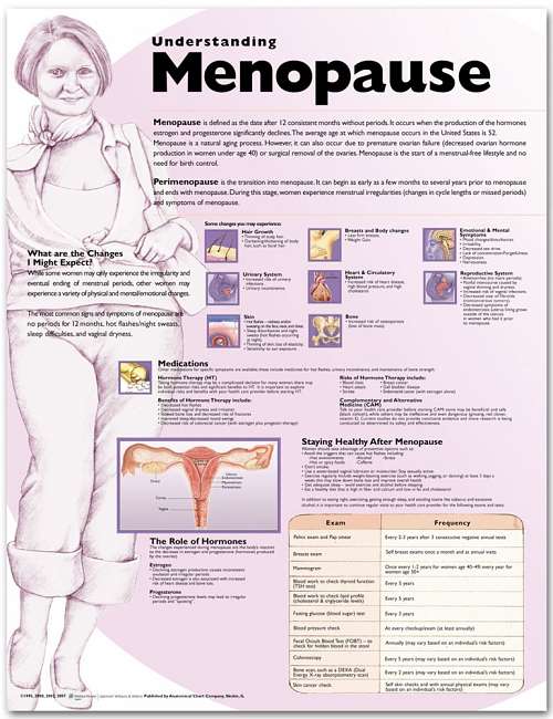 Understanding Menopause