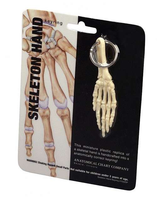 Anatomical Key Ring - Hand