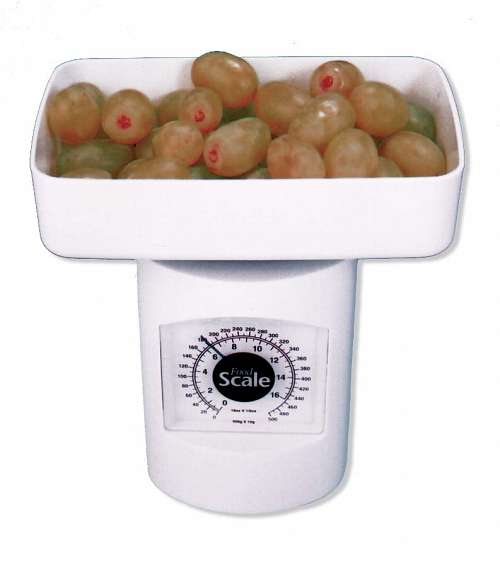 Food Scale