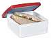 Fit & Fresh Lunch POD