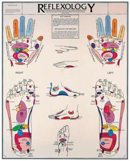 Reflexology Chart Laminated