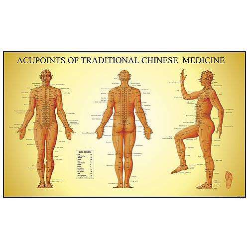 Acupoints of Chinese Medicine
