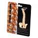 Anatomy Key Ring Spine