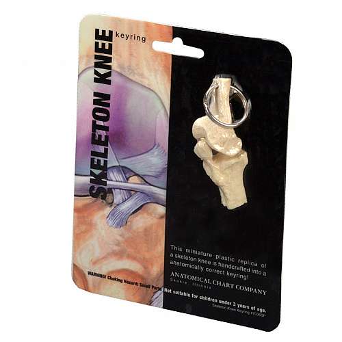 Anatomy Key Ring Knee