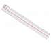 12" Magnifying Ruler