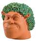 Chia Shrek