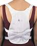 Posture Corrector