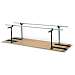 Platform Mounted Parallel Bars