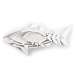 Fish Food Nesting Dishes